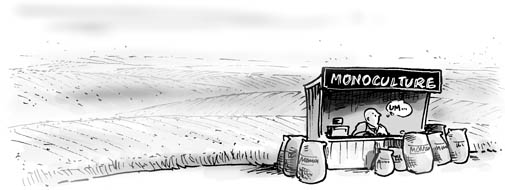 Monoculture pic
