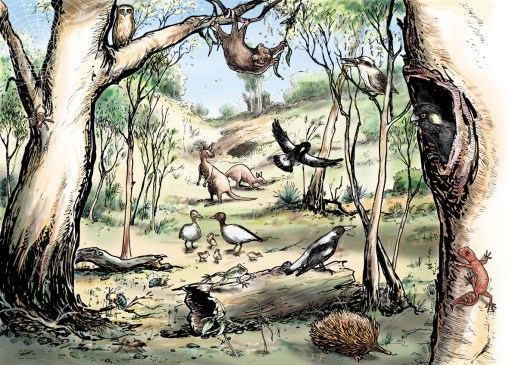 Nature is everywhere