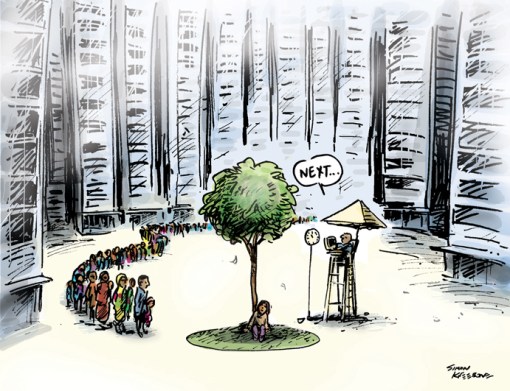 under the tree LR pic