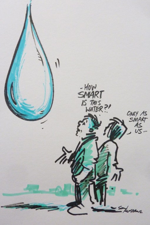 How smart this water LR pic