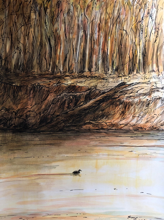 Duck on river LR.jpg