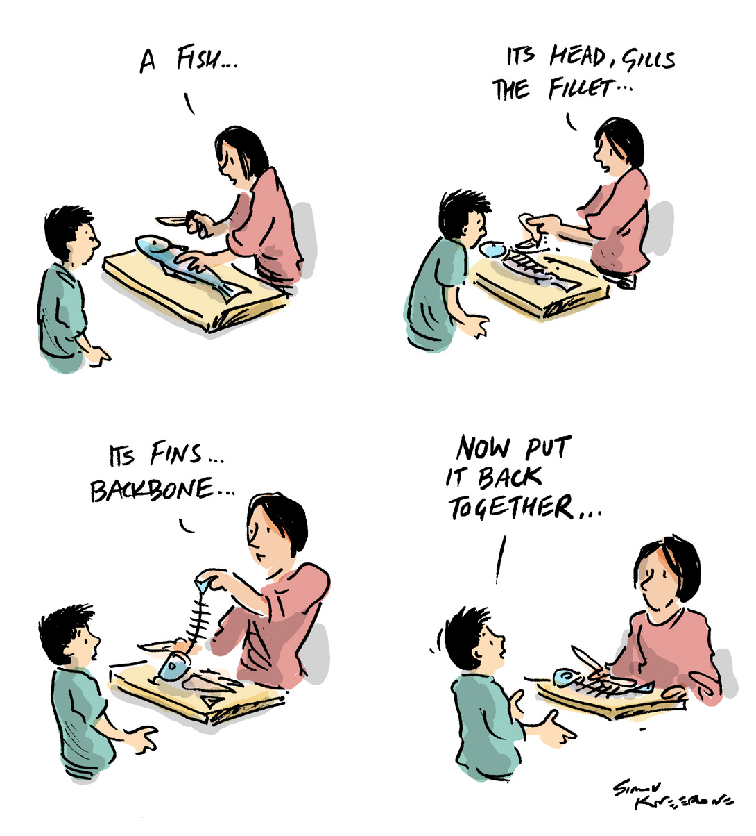  Disection LR pic.jpg