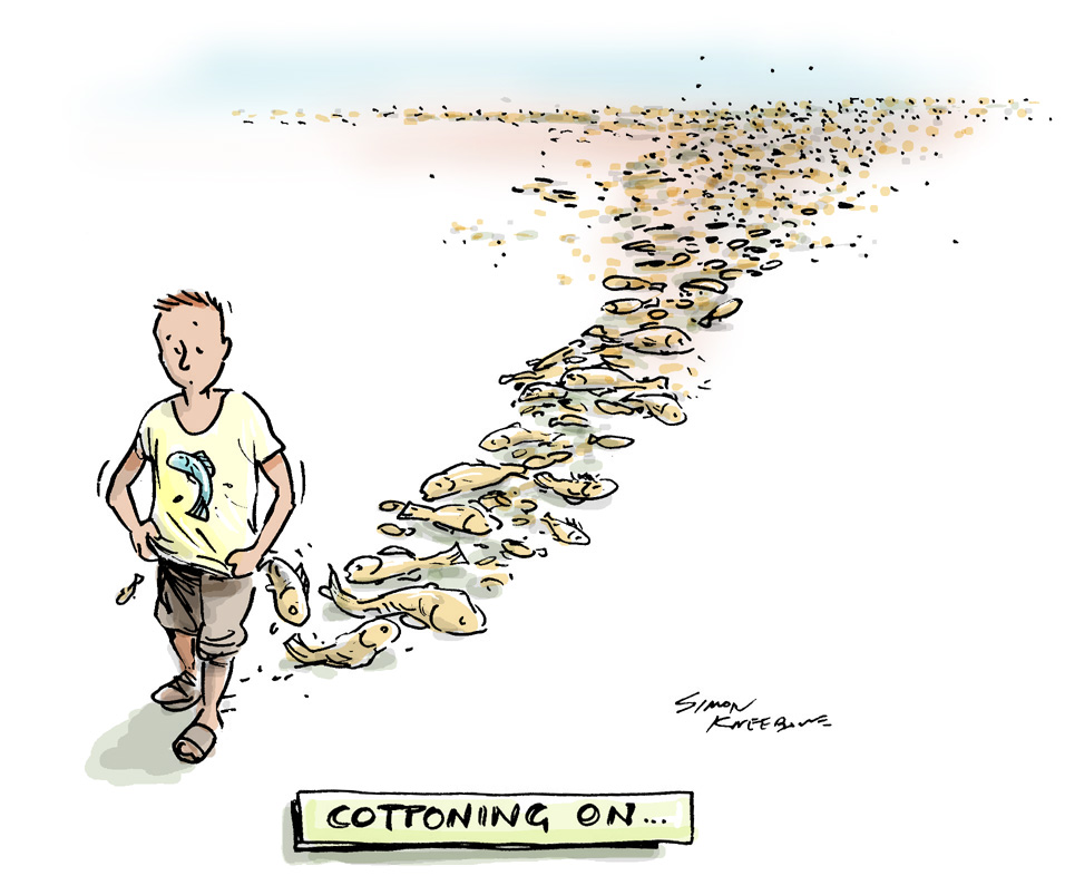 Cottoning on LR pic.jpg