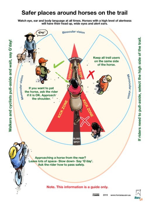 Safer places around horses on trail LR.jpg