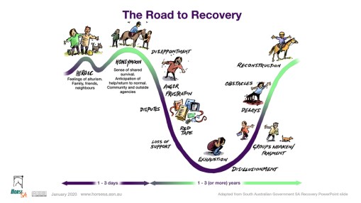 Road to recovery LR pic.jpg