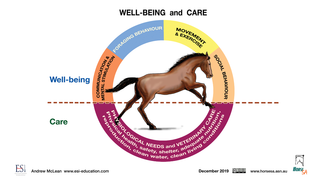 Horse Welfare - circle diagram LR