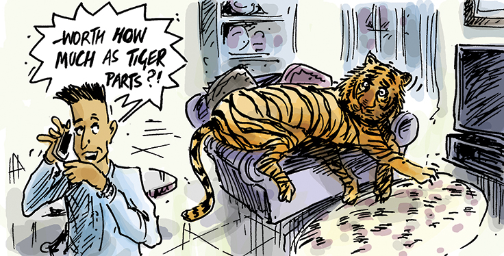 Animal welfare | Simon Kneebone - cartoonist and illustrator